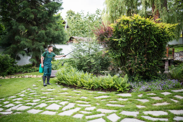 Best Pest Removal Services  in Hahnville, LA