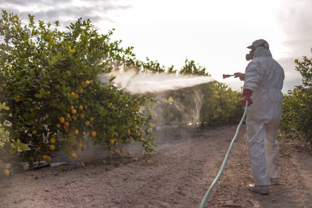 Best Best Pest Control Companies  in Hahnville, LA