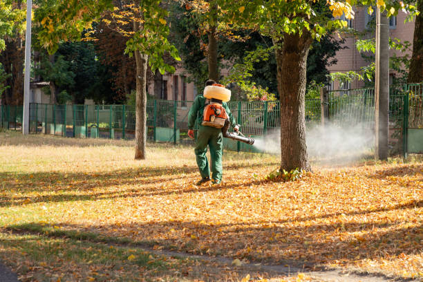 Best Best Pest Control Companies  in Hahnville, LA