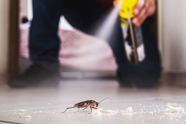 Best Residential Pest Control  in Hahnville, LA